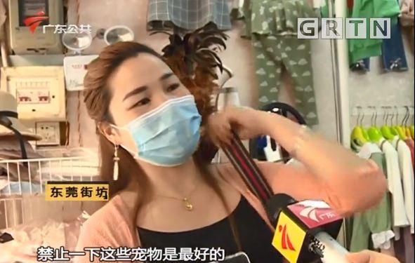 东莞一居委会发通知杀狗，宠物也有感染新冠肺炎风险？官方回应来了！
