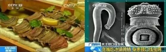 不要再吃这样的了，全是虫！快告诉家人！