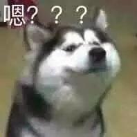 刷爆朋友圈的石排樱花美食节，你去了吗？网友到现场发现…