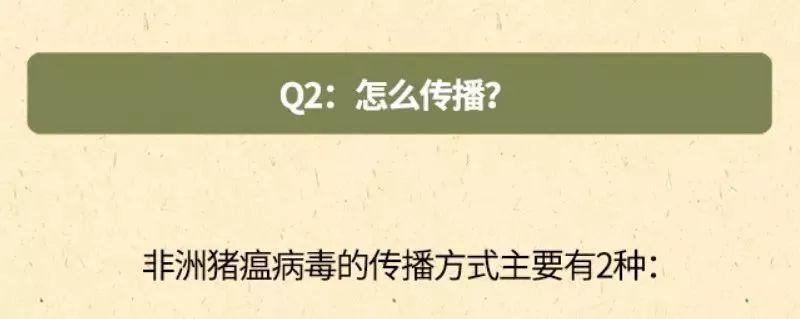 朋友圈里的“猪瘟”请刹车！权威消息来了！东莞人可以放心啦！