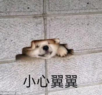 曝光！东莞男子被“网贷诈骗”全过程！步步都是精心设计的陷阱！