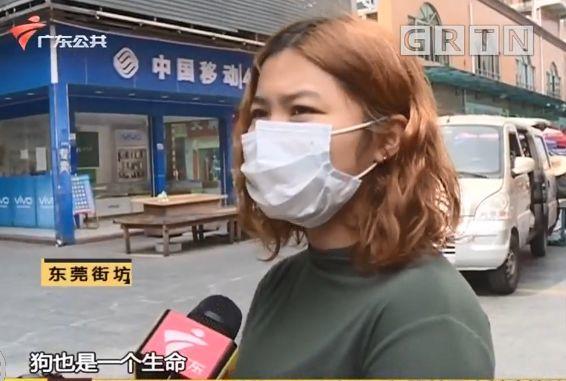 东莞一居委会发通知杀狗，宠物也有感染新冠肺炎风险？官方回应来了！