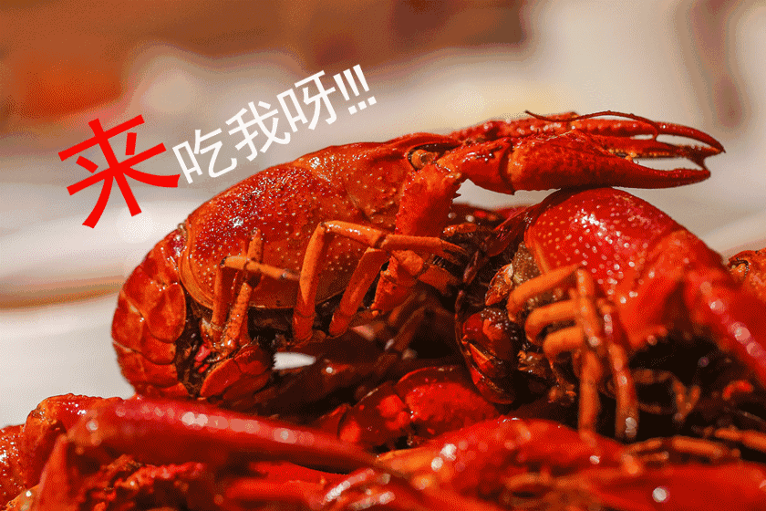 不要再吃这样的了，全是虫！快告诉家人！