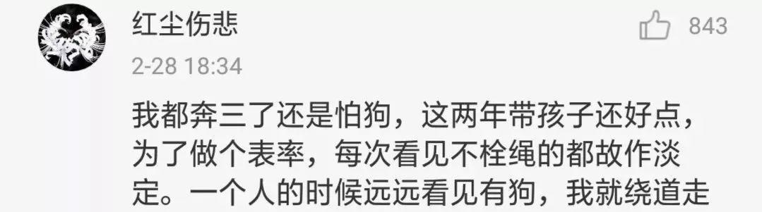 泰迪没吼也没咬，这位狗主人却赔了20万！只因这件事情没做好…