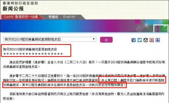 东莞一居委会发通知杀狗，宠物也有感染新冠肺炎风险？官方回应来了！