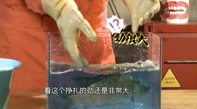 警惕！东莞多家海鲜档被检出高致癌物！速度告知家人！
