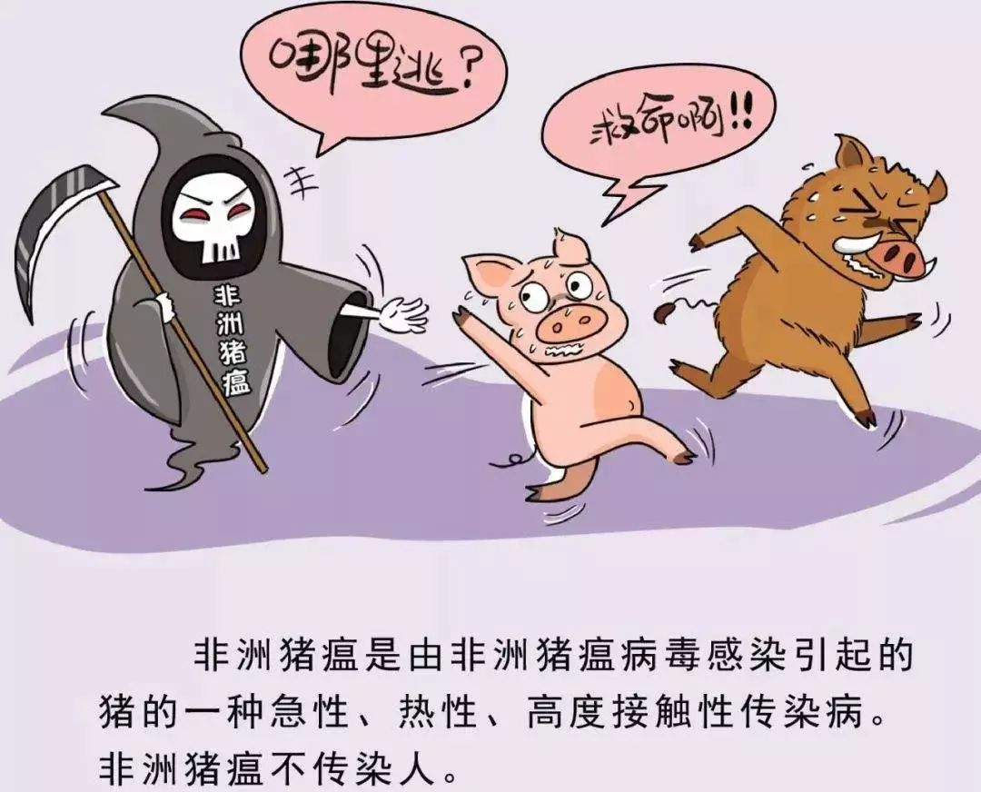 天呐！东莞人经常吃的三全灌汤水饺被曝检出非洲猪瘟病毒？