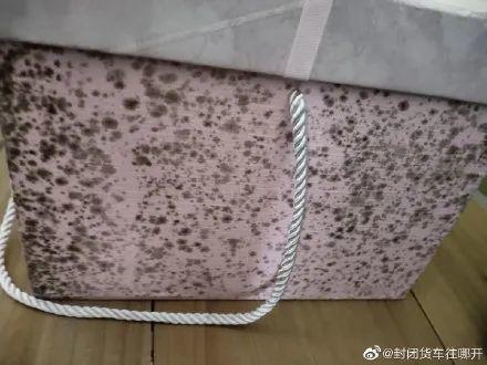 终于！东莞中小学确定返校时间！但必须要...