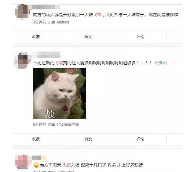 吓哭！太多多多……了！最近东莞人被吓得不敢开灯，只因它们又来轰炸了！