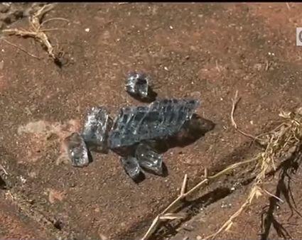 东莞一小区内发生爆燃！窗户炸飞，1人昏迷…
