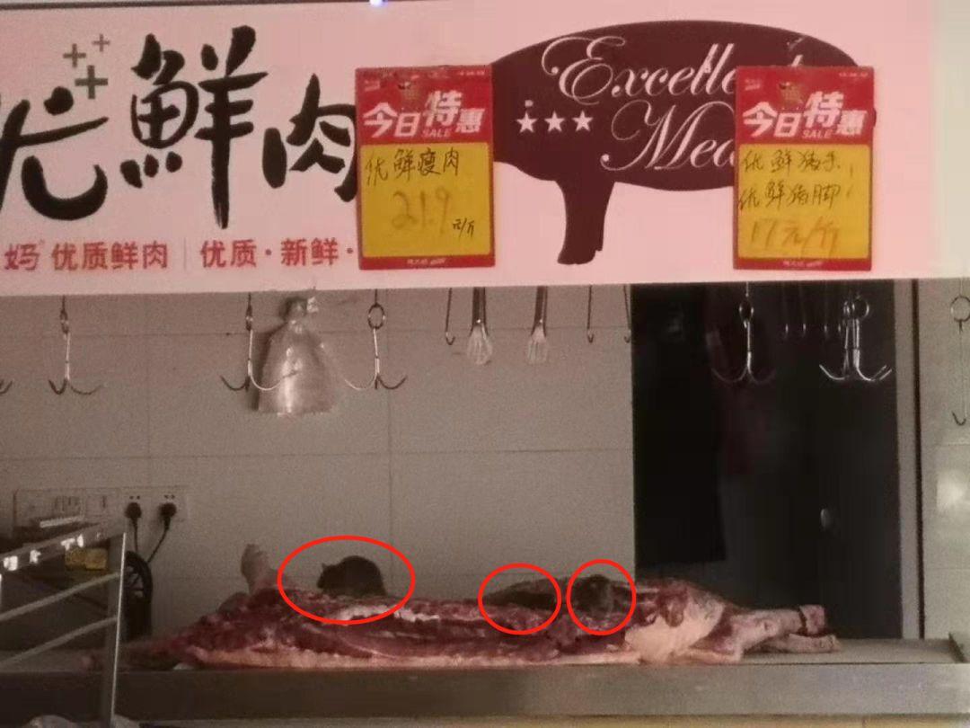 可怕！多只老鼠在肉上啃咬！这家连锁店被曝最恶心一幕，东莞有好多家分店！
