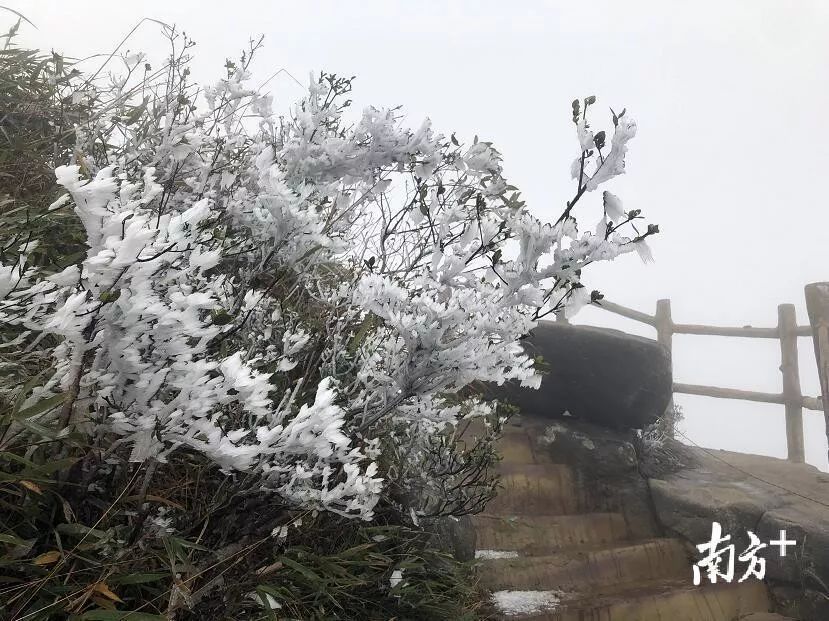 冷冷冷！东莞气温直降10℃！冷空气持续加码！今晚还有这个看……
