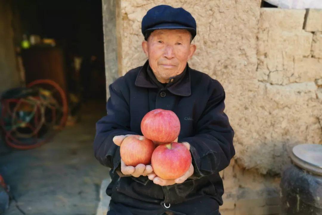 年关将近，紧急求助！陕西300万斤红富士苹果急盼销路，10斤仅29.9元，请大家帮忙转发助力，帮助乡亲们度过年关！