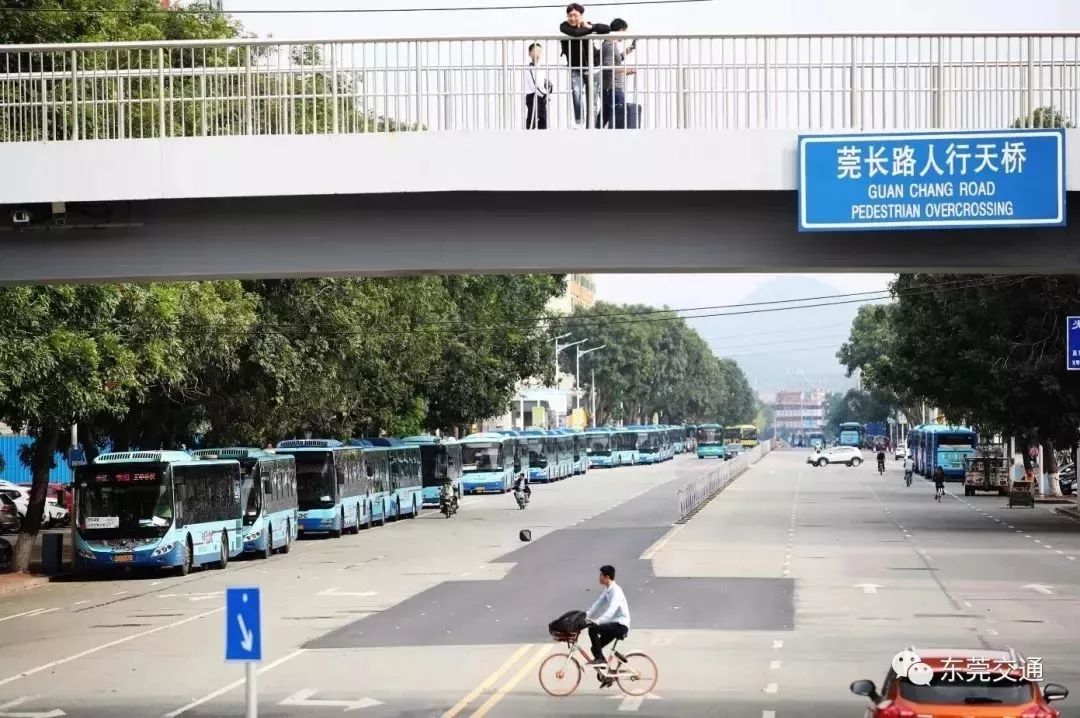 紧急提醒！已有21人被罚了！经常走这条路的东莞司机注意……