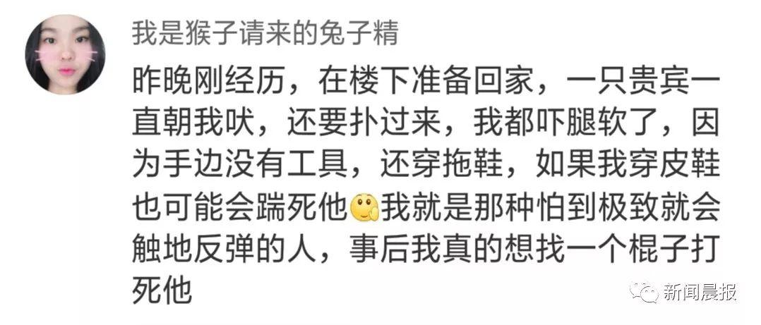 泰迪没吼也没咬，这位狗主人却赔了20万！只因这件事情没做好…