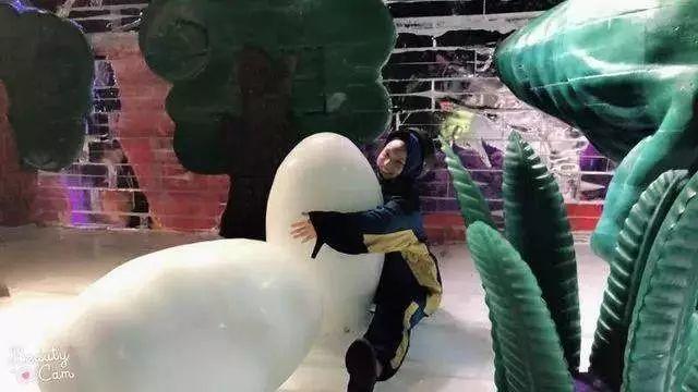 9元/年卡！网红打卡圣地冰雪世界无限玩！节假日不加收！恐龙世界冰雪+飘雪主题日........."