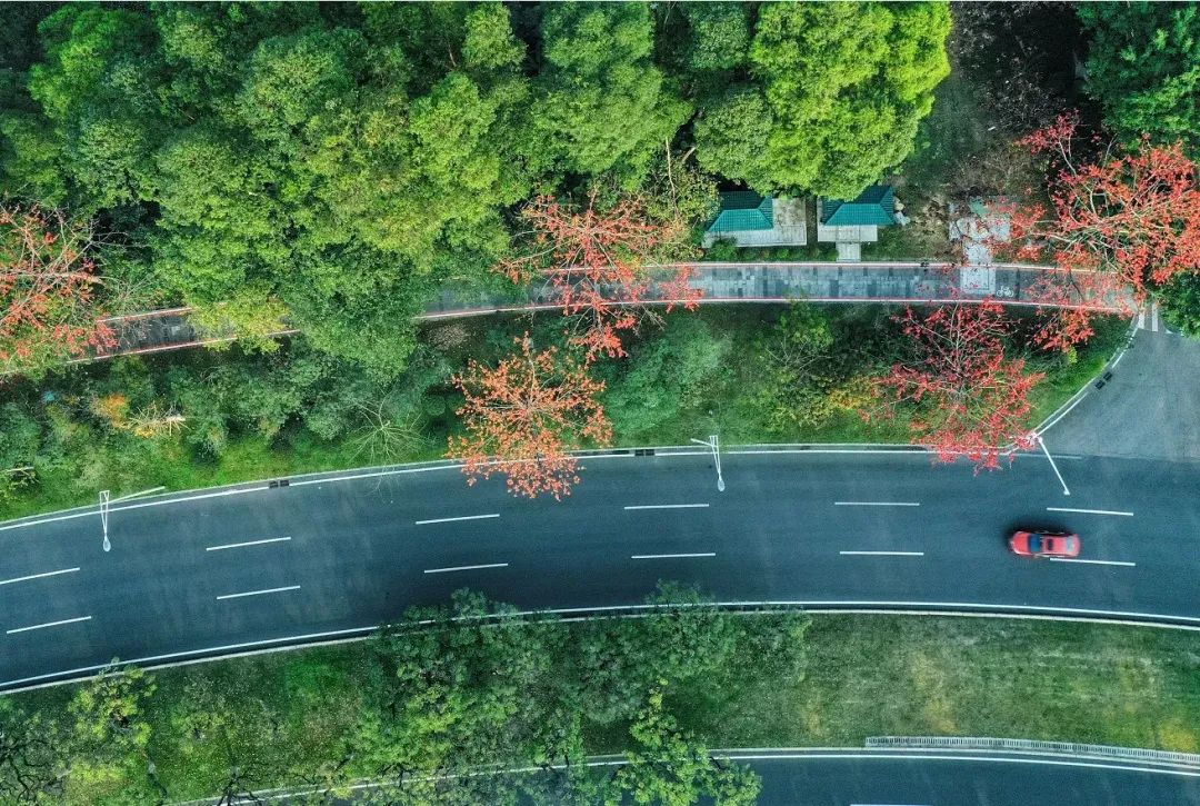 为什么深圳人都偏爱松山湖