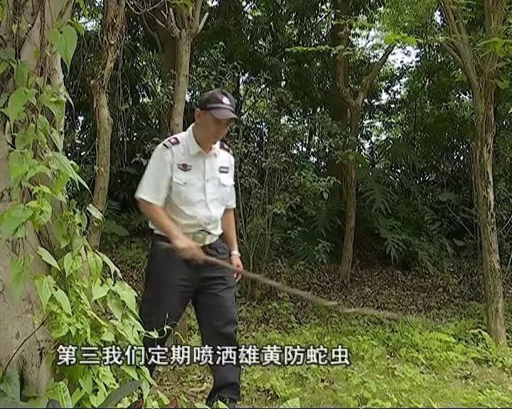 可怕！东莞一小区惊现多种毒蛇，多人被咬中毒！