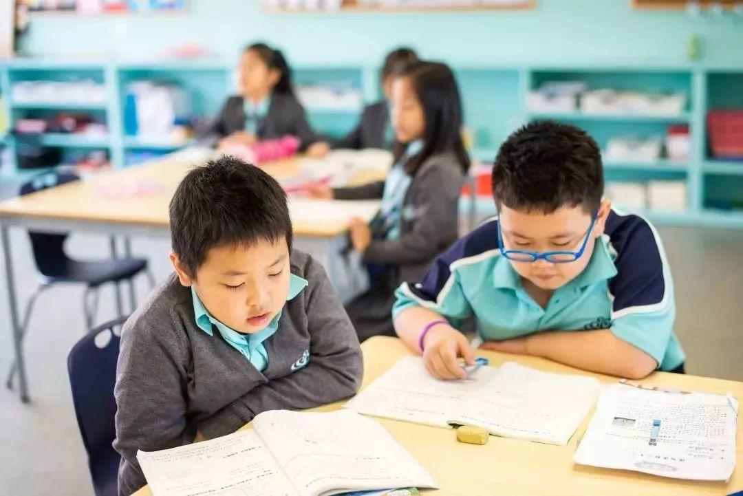 郎朗娶小12岁娇妻上热搜，看了新娘子教育资料，我酸了...