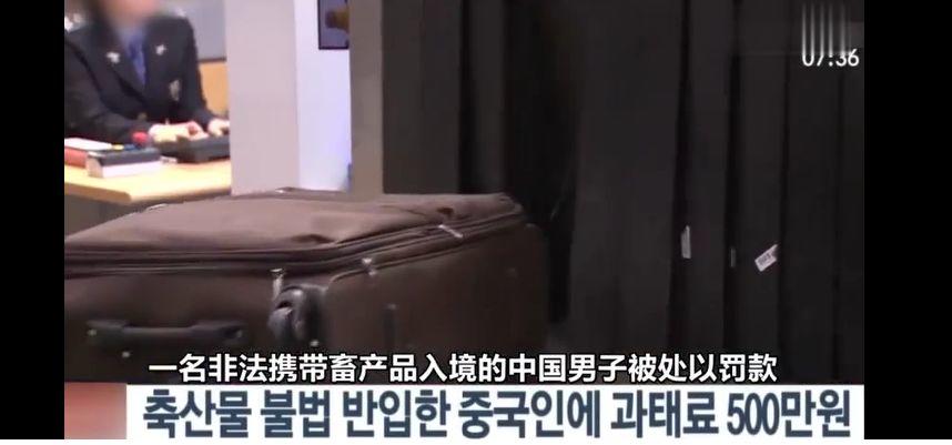 东莞人注意！中国游客入境被罚500万！只因带了这东西...
