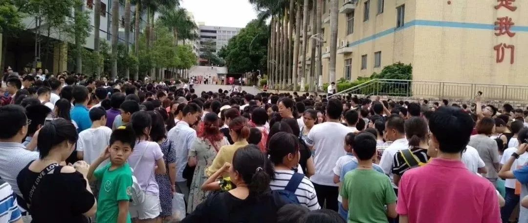 重磅！东莞幼升小、小升初政策大变！东华、虎外、宏外、光明等要这样