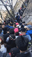 我后悔了！不该出来浪的，我要回家！！！