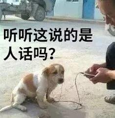 "女朋友碰到强奸犯怎么办？"男朋友的回答惊呆无数东莞人！