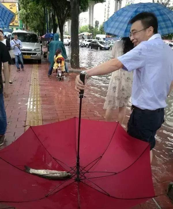 暴雨携冷空气又来“搞搞震”，东莞这日子没法过了！