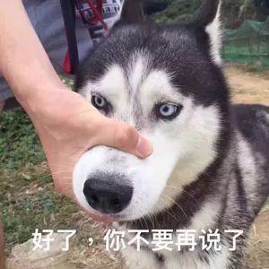 “国庆返程的行李箱”又上热搜，最后一个亮了！