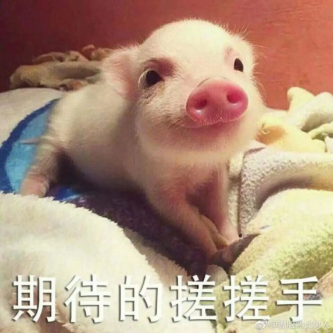 重磅! 又一新口岸要开通! 东莞人再也不用去罗湖挤了! 另外解封时间定在...