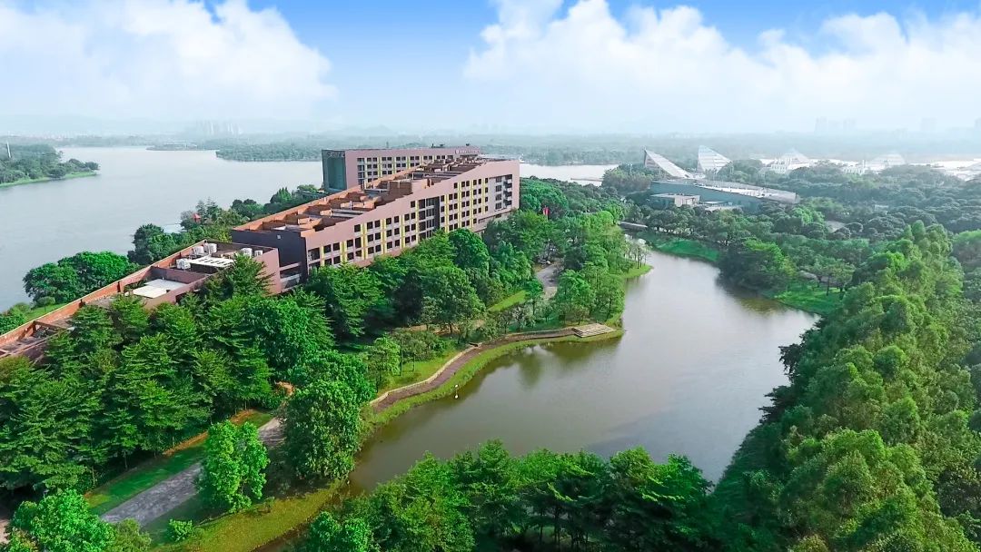 为什么深圳人都偏爱松山湖