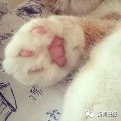 这家东莞人常去的便利店竟然出事了！！
