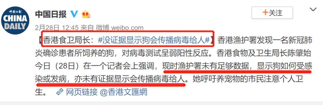 东莞一居委会发通知杀狗，宠物也有感染新冠肺炎风险？官方回应来了！