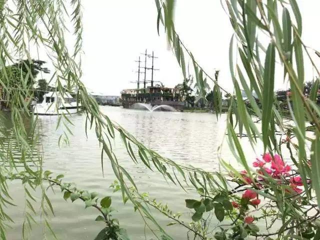东莞最新网红休闲胜地~12.8元抢东江印象生态园观光票，海上丝路长廊、印象风车、孔雀观赏····休闲假日！秋游拍摄~共度欢乐时光