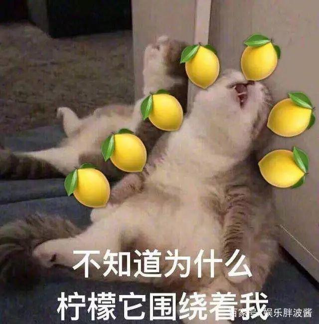 全东莞未嫁的女士注意! 即将有大量的隐形富豪出现在东江上划龙舟