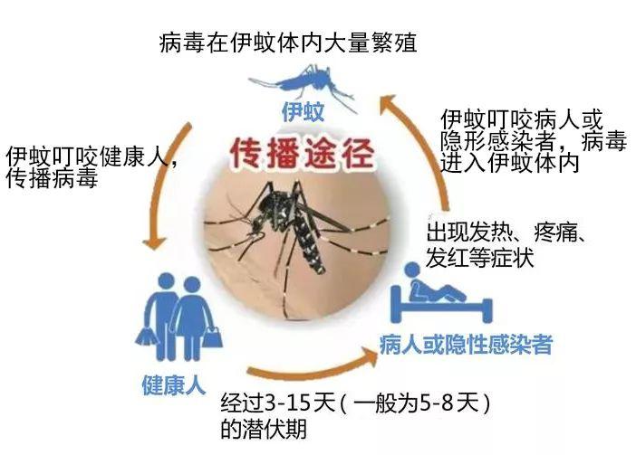 东莞有人已被隔离！这种急性传染病，正高发！