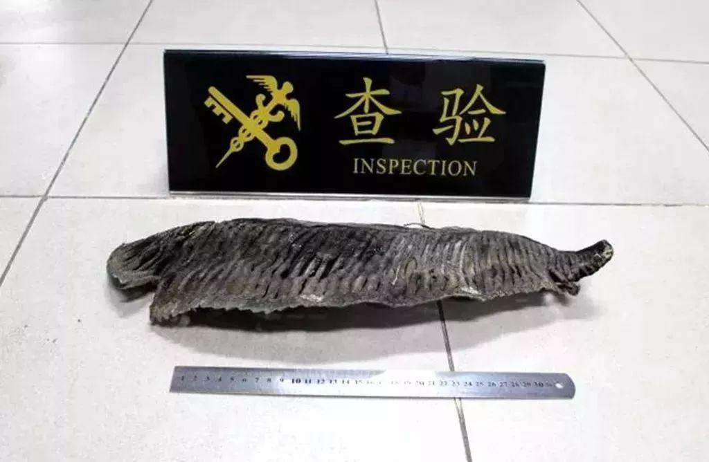 东莞人以后去香港，千万别带这些！最高罚5万甚至坐牢！