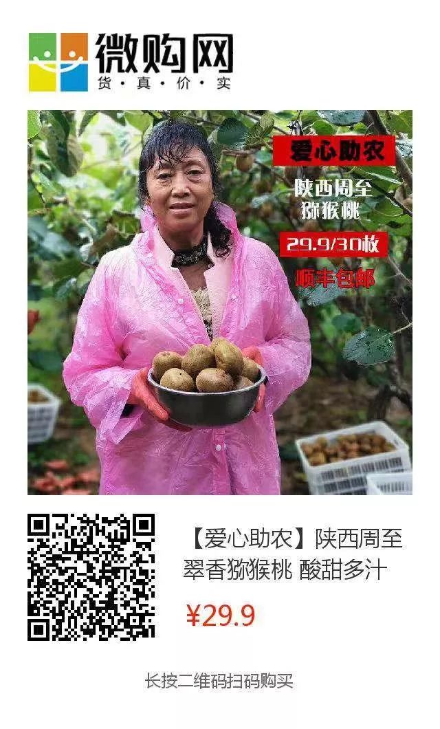 紧急求助！陕西100万斤周至猕猴桃盼销路，村委会证实求援！29.9元顺丰包邮！甜而不贵！