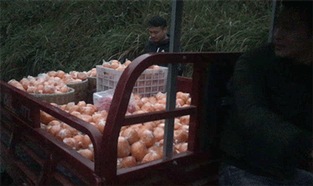 紧急！年关将至，湖南保靖4万吨富硒椪柑大面积滞销，即将烂在家里！时间紧迫，请大家帮帮他们寻找销路