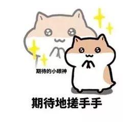 定了！穗莞深城轨开通时间公布！东莞到广州仅需10分钟！