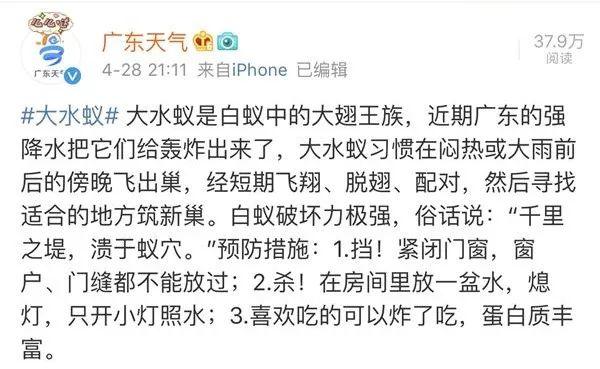 吓哭！太多多多……了！最近东莞人被吓得不敢开灯，只因它们又来轰炸了！