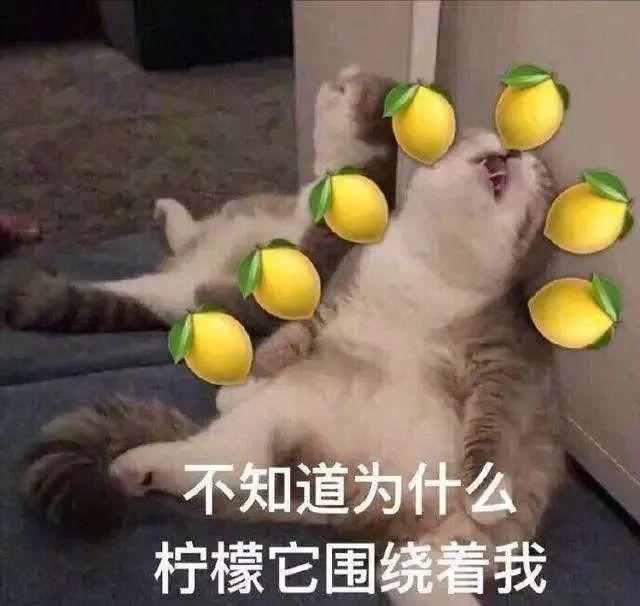 每人3000元! 这条村发放疫情补助金! 网友: 什么时候到我?