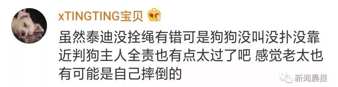 泰迪没吼也没咬，这位狗主人却赔了20万！只因这件事情没做好…
