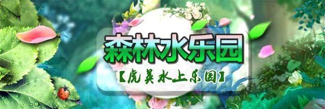 清凉一夏！虎英水上乐园特惠价65元！超级大喇叭、超级海浪滩、激情水寨...好嗨哟，浪起来~
