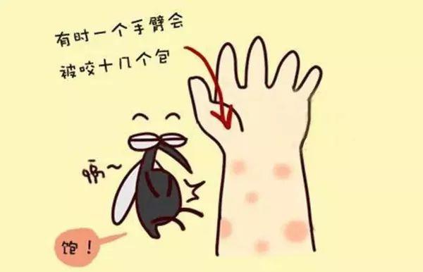专家告诫：被蚊子咬了，这5点千万不要做！涂点这个马上止痒，不花一分钱！