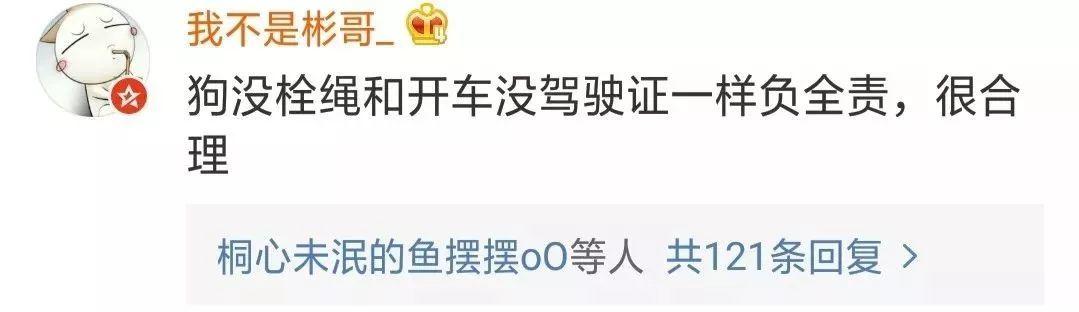 泰迪没吼也没咬，这位狗主人却赔了20万！只因这件事情没做好…