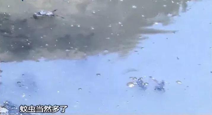预警!东莞已有7人疑患这种病被隔离,都来自同一条村!感染原因竟是……