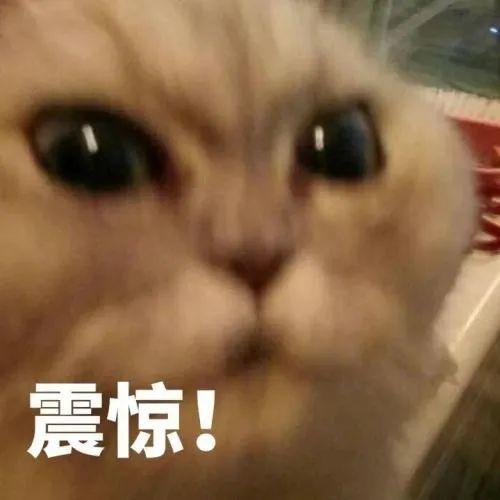 东莞人注意！清明将近，路边见到这种小土堆千万别碰！已有多人中招！