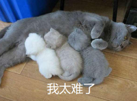 东莞人从小就喝的这口奶，来头竟然这么大！