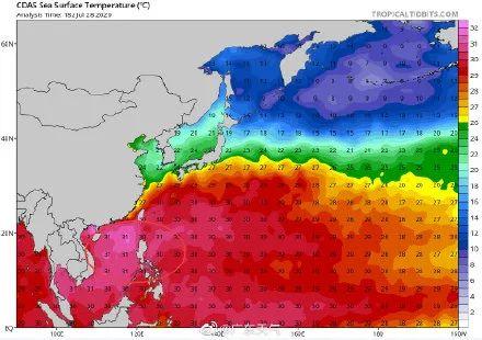 紧急！3号台风即将登陆！东莞正式上线大风大雨套餐！